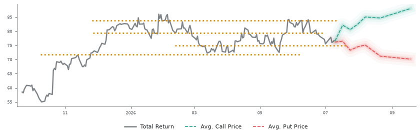Options-Based Forecast GM Option Ideas - General Motors