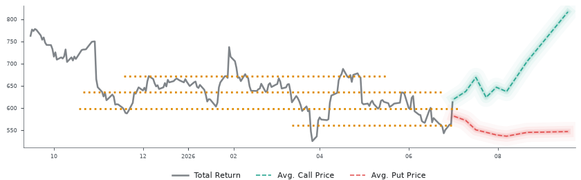 Options-Based Forecast META Option Ideas - Meta Platforms
